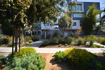 Mar Vista Lofts - Exterior Lush Landscaping